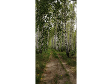 IMG 20210523 110057.jpg