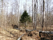 IMG 20210506 092002.jpg