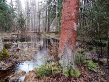 IMG 20210503 122942.jpg