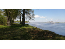 IMG 20210516 111937.jpg