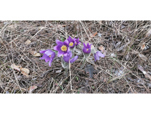 IMG 20210502 130000.jpg