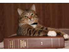 �� � ��� ��� ���������?