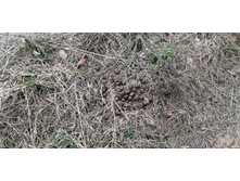 IMG 20210506 120125.jpg