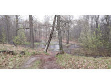 IMG 20210509 125508.jpg