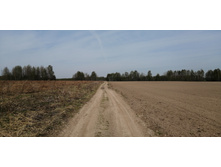 IMG 20210506 100927.jpg