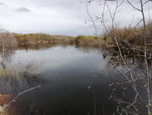 IMG 20210501 124736.jpg