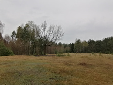 IMG 20210503 114138.jpg