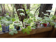 ������ ������������ 50 � 2021 ���