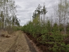 IMG 20210504 141129.jpg