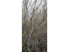 IMG 20210501 113023.jpg