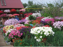 ������� �������