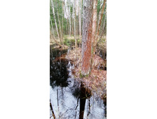 IMG 20210503 121353.jpg