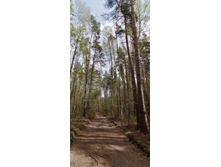 IMG 20210506 122930.jpg