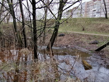 IMG 20210501 094350.jpg