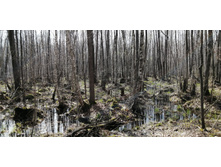 IMG 20210506 094520.jpg