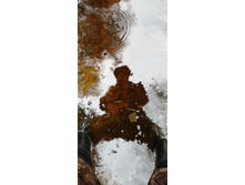 IMG 20210503 123514.jpg