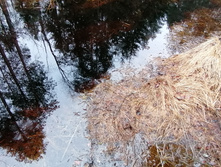 IMG 20210503 120409.jpg