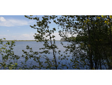 IMG 20210516 113722.jpg