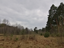 IMG 20210503 111932.jpg