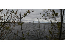 IMG 20210505 105945.jpg