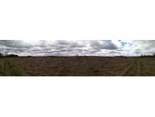 IMG 20210505 124250.jpg