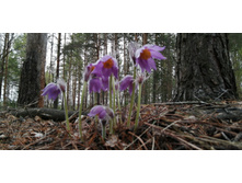 IMG 20210504 131450.jpg