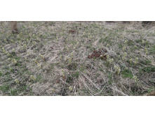 IMG 20210505 121303.jpg