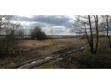 IMG 20210501 141838.jpg