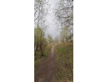 IMG 20210501 094442.jpg