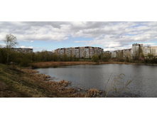 IMG 20210501 152422.jpg