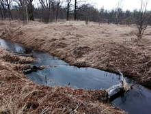 IMG 20210501 121925.jpg