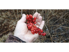 IMG 20210503 140750.jpg