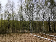 IMG 20210506 111234.jpg