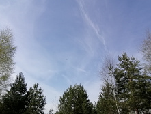 IMG 20210506 110221.jpg