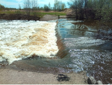 20210508 � �� 1105.jpg