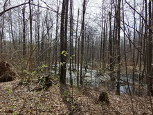 IMG 20210506 093725.jpg