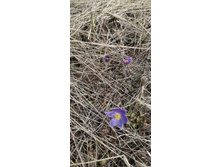 IMG 20210502 133747.jpg