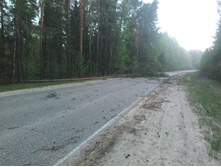 20210515 �-300 ���������� 170515.jpg