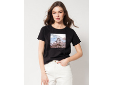 46�   873���.jpeg