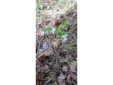 IMG 20210523 155140.jpg