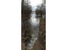 IMG 20210501 133506.jpg