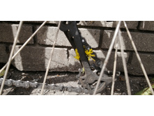 IMG 20210523 125200.jpg