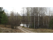 IMG 20210501 132753.jpg