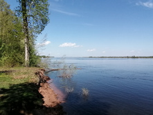 IMG 20210516 111300.jpg