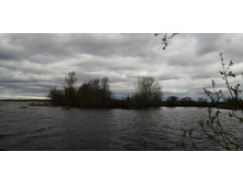 IMG 20210505 121938.jpg