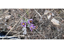 IMG 20210502 135410.jpg