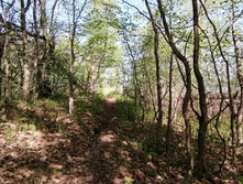 IMG 20210516 105221.jpg