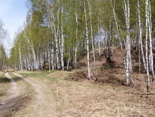 IMG 20210506 111948.jpg