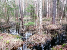 IMG 20210503 121416.jpg