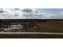 IMG 20210501 102827.jpg